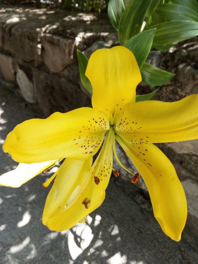 Cazorla Centro公寓 外观 照片